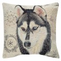 DSC00320-pies-husky.jpg