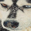 DSC00323-pies-husky-det.jpg
